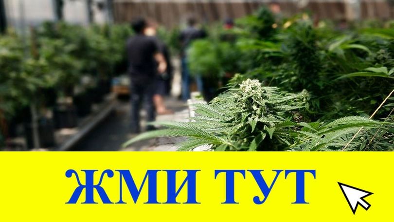 Купить наркотики в Кирове